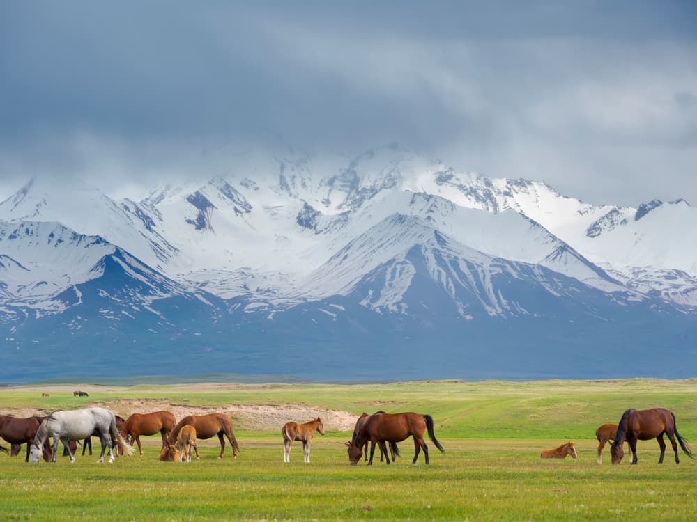 Kara-Kulja valley